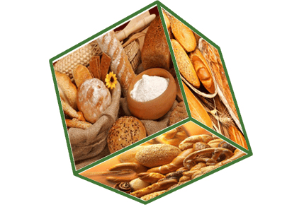 Phosphoric Products