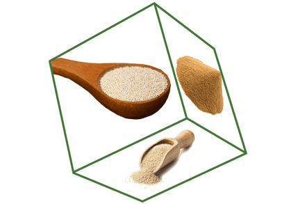 Yeast&Fermentation Application