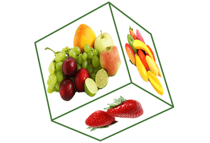 Water Soluble Fertilizer