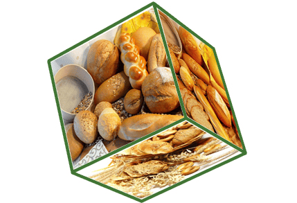 Sodium Hexametaphosphate(SHMP)-E452(I) - Food Additive Phosphate - China Yeyuan Chemical Raw Material Supplier - PVC - PVC...