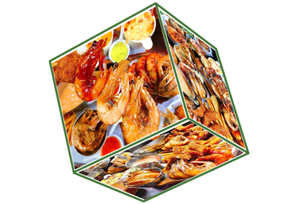 Food Additive Phosphate